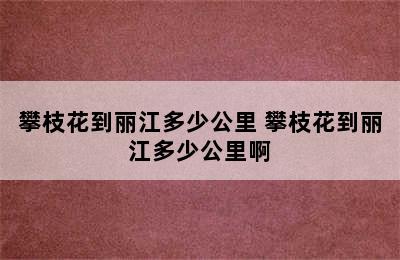 攀枝花到丽江多少公里 攀枝花到丽江多少公里啊